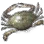 Crab icon