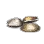 Shellfish icon