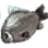 Crucian Carp icon