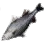 Sea Bass icon