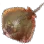 Ray icon
