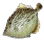 Filefish icon