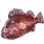 Scorpion Fish icon