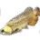 Arowana icon