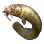 Mudfish icon