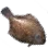 Flatfish icon