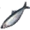 Sardine icon