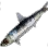 Round Herring icon