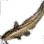 Striped Catfish icon