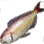 Golden-thread icon