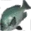 Nibbler icon