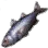 Bluefish icon