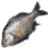 Surfperch icon