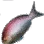 Maomao icon