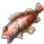 Rosefish icon