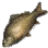 Leather Carp icon