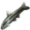 Striped Shiner icon