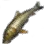Barbel Steed icon