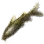 Yellow-head Catfish icon
