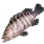 Rock Hind icon