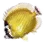Butterflyfish icon