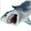 Blue Shark icon