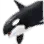 Killer Whale icon