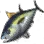 Bigeye Tuna icon