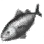 Bluefin Tuna icon