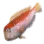 Tilefish icon