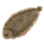 Tongue Sole icon