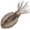 Cuttlefish icon
