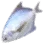 Dollarfish icon