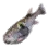 Eyespot Puffer icon