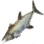 Greater Amberjack icon