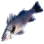 Blackfin Sea Perch icon