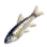 Diamond Minnow icon
