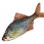 Stone Moroko icon