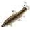 Black Shiner icon