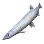 Flower Icefish icon