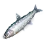 Sharpbelly icon