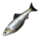 Silver Carp icon