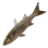 Ussurian Bullhead icon