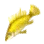 Golden Siniperca icon