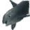 Black Spotted Dolphin icon