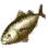 Golden Albacore icon