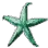 Blue Bat Star icon