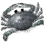 Black Eye Crab icon