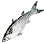Pearl Mullet icon