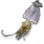 Dried Squid icon